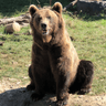 Berbize9