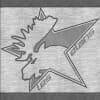 Logo du club Roller Hockey Collegien