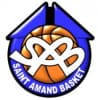 Logo du club Saint Amand Basket