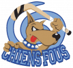 Logo du club Colomiers Roller Hockey