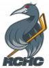 Logo du club Cormorans de Rennes