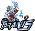Logo du club Hockey Club 29