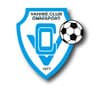 Logo du club Vahibé Club Omnisport