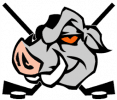 Logo du club RHOC Nantes