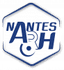 Nantes Atlantique Rink Hockey