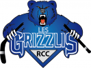 Logo du club Roller Club Castelbriantais