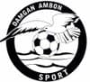 Logo du club Damgan Ambon Sport
