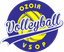 VSOP Ozoir Volley-Ball