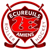 Roller Skating Amiénois 2