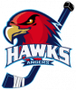 Hawks Angers Rollers