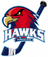 Logo Hawks Angers Rollers