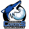 Logo du club Handball Club Franconville