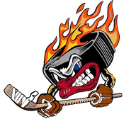 Logo du club Blanc Mesnil Sport Hockey Roller