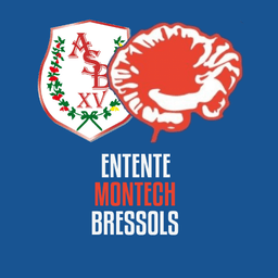 Logo du club JUNIORS ENT MONTECH-BRESSOLS